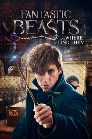 Fantastic Beasts and Where to Find Them สัตว์มหัศจรรย์และถิ่นที่อยู่